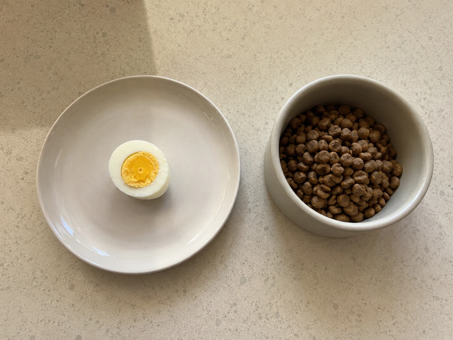 Plain cooked egg prepared without seasonings beside a dog food bowl